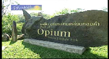 Thailande Triangle d'or Opium
